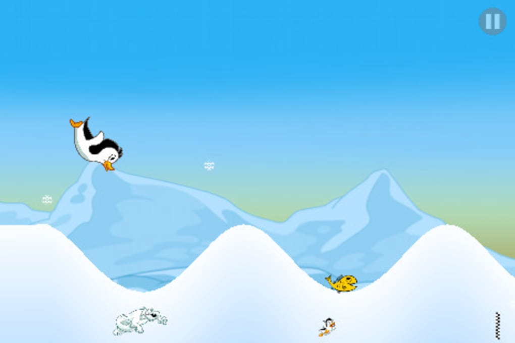 Flying penguin
