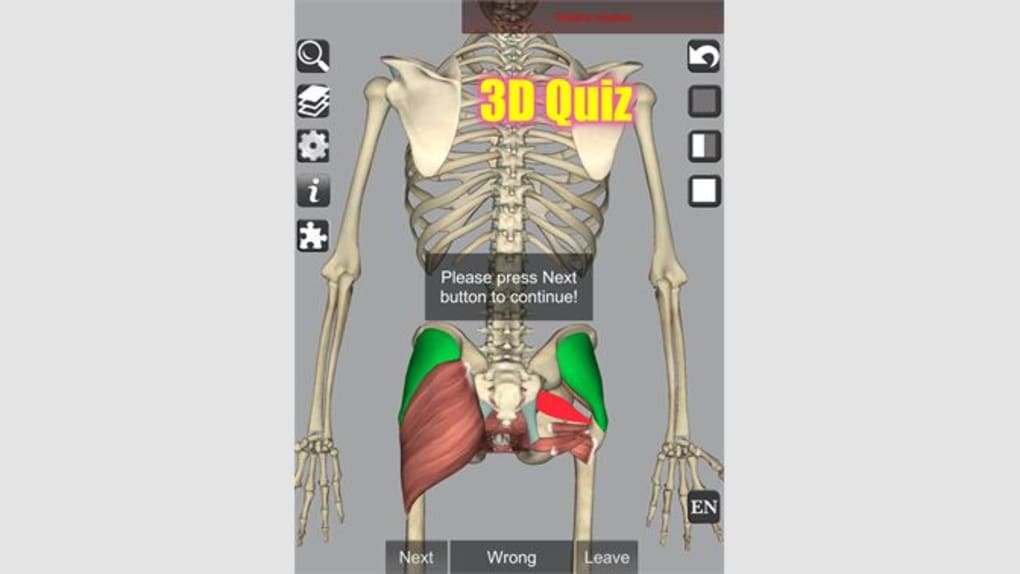 3D Human Anatomy - 다운로드