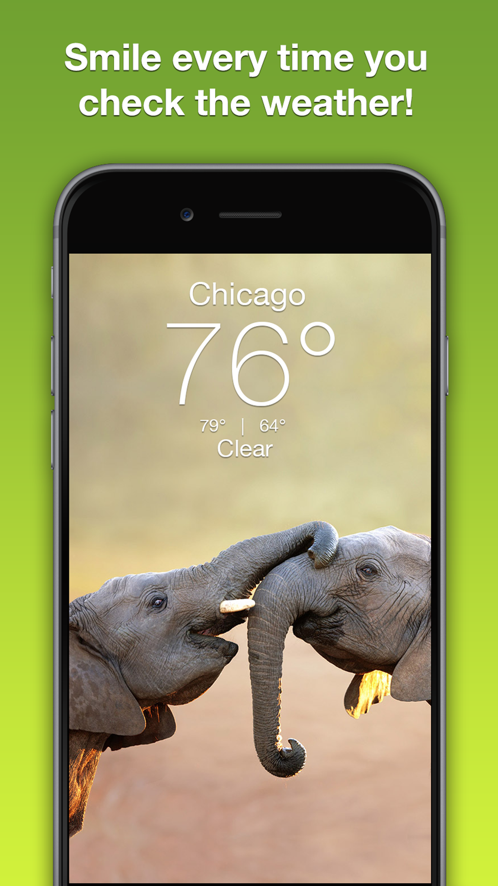 Wildlife Wallpaper Weather для iPhone — Скачать