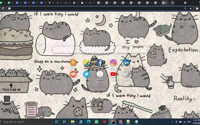 Pusheen Wallpaper New Tab