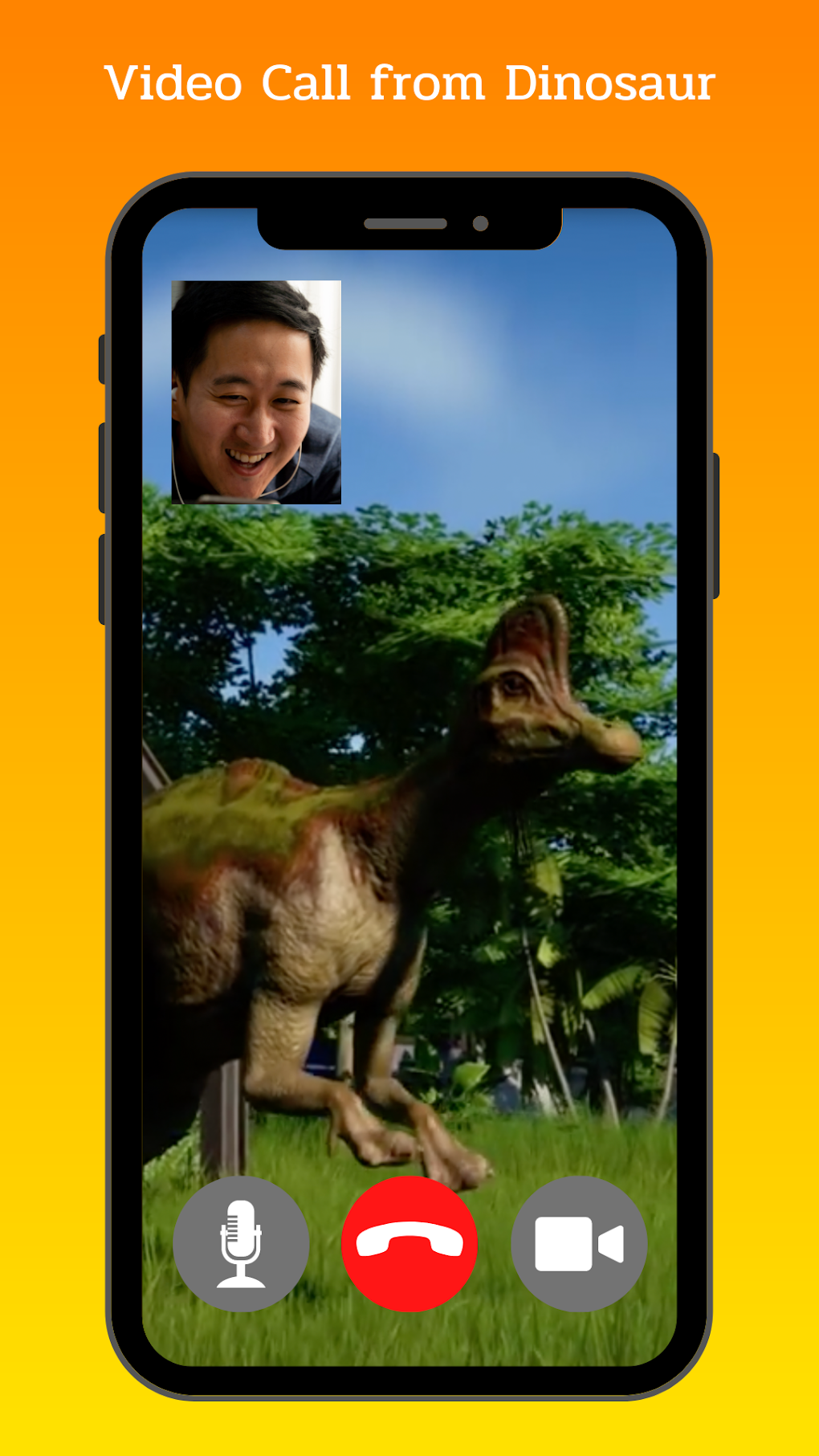 Videos from Dinosaur World