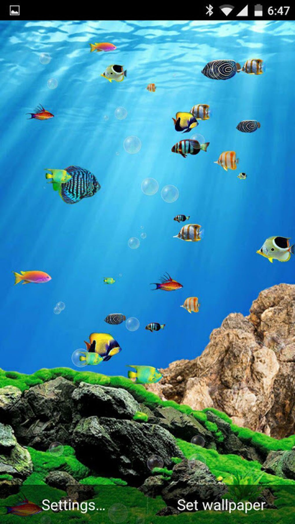 Aquarium Live Wallpaper Free Apk For Android Download