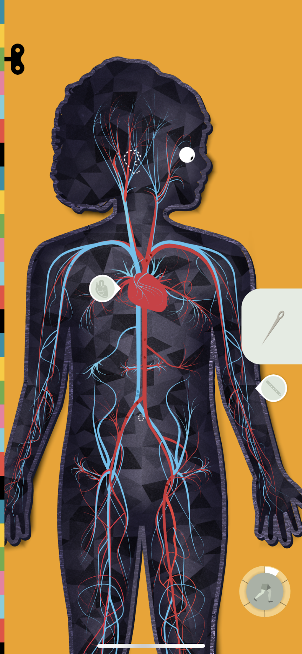 The Human Body by Tinybop для Android — Скачать