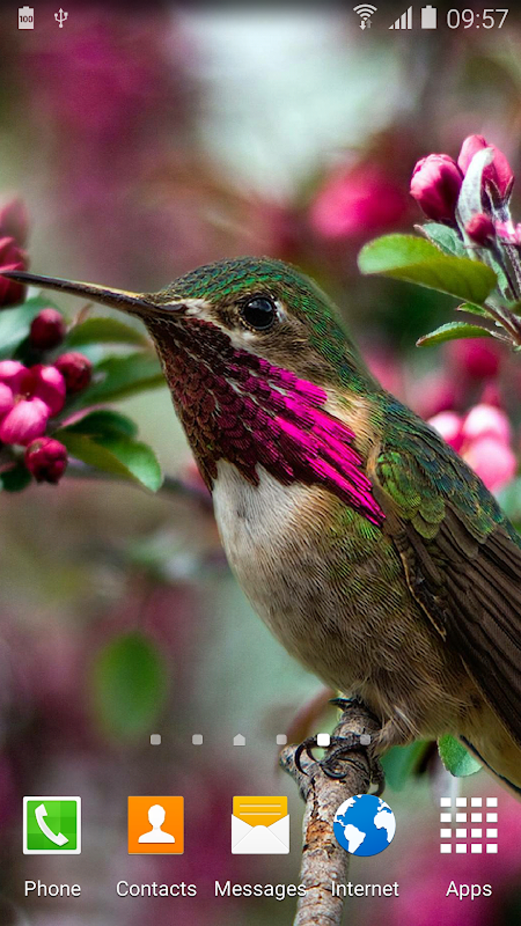 Hummingbirds Live Wallpaper APK для Android — Скачать