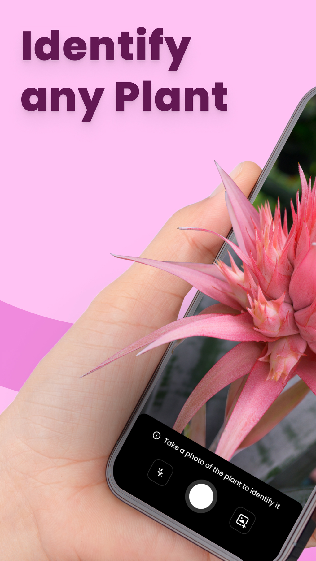 Plantopia Plant Identifier For IPhone Download