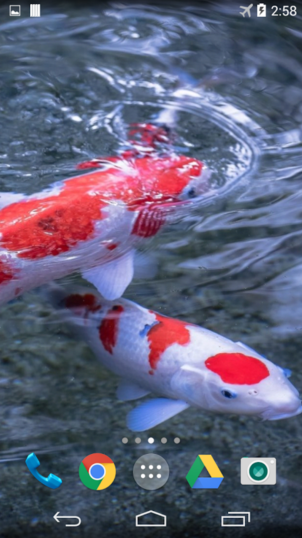 Koi 3D Live Wallpaper APK for Android - Download