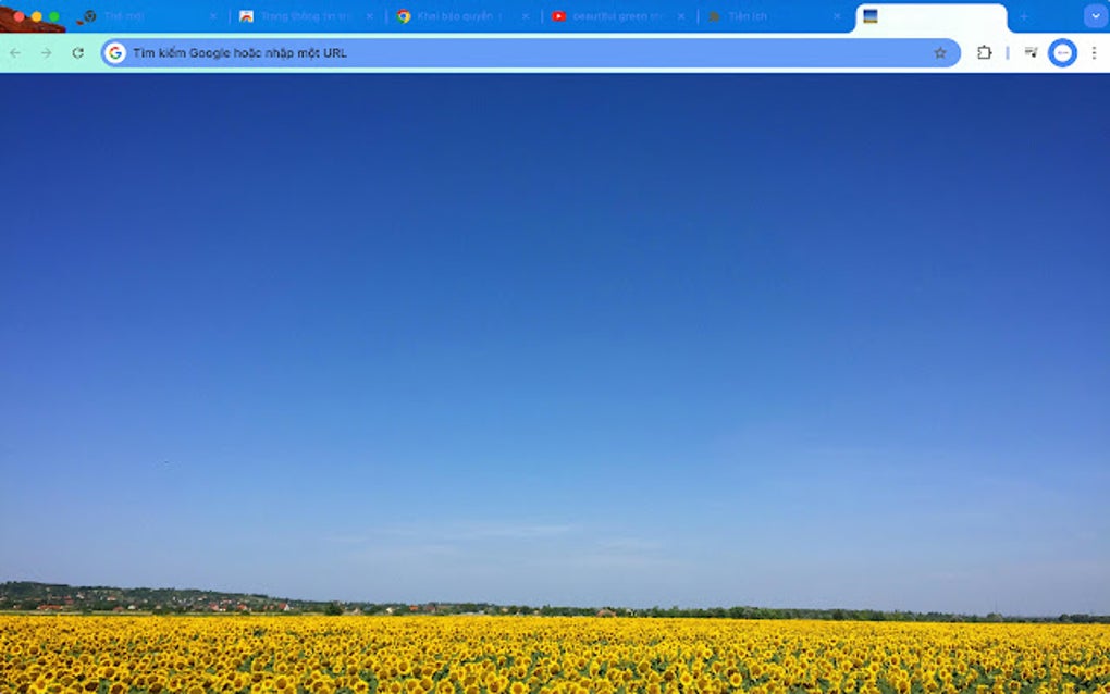 Custom New Tab Background
