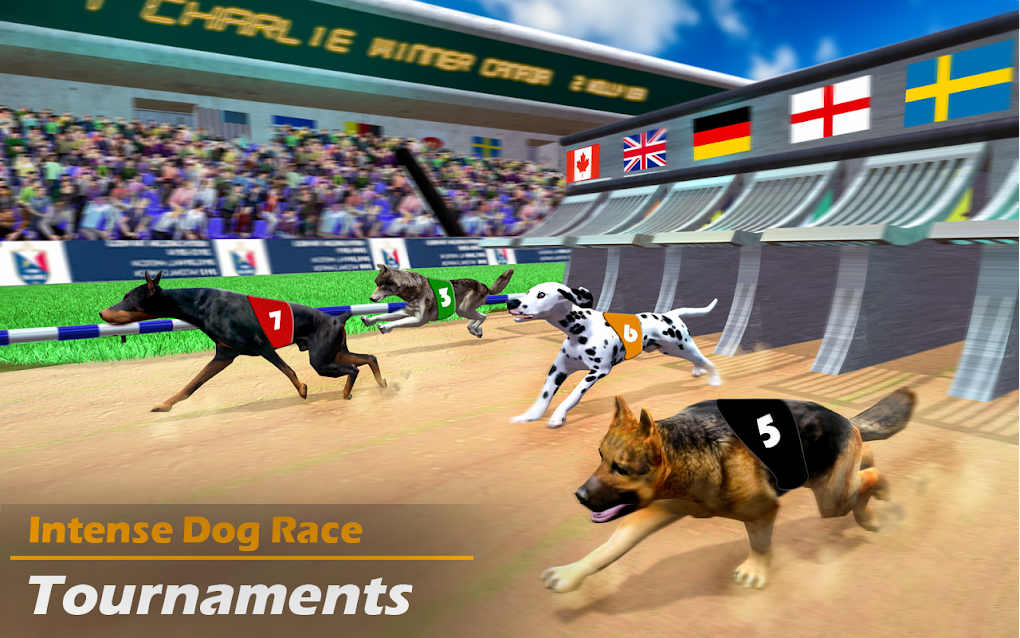 Racing Dog Simulator: Crazy Dog Racing Games APK for Android - Download