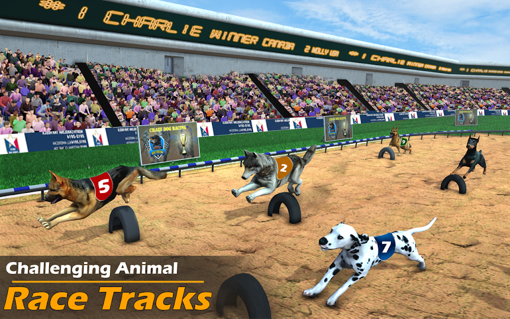 Racing Dog Simulator: Crazy Dog Racing Games APK for Android - Download