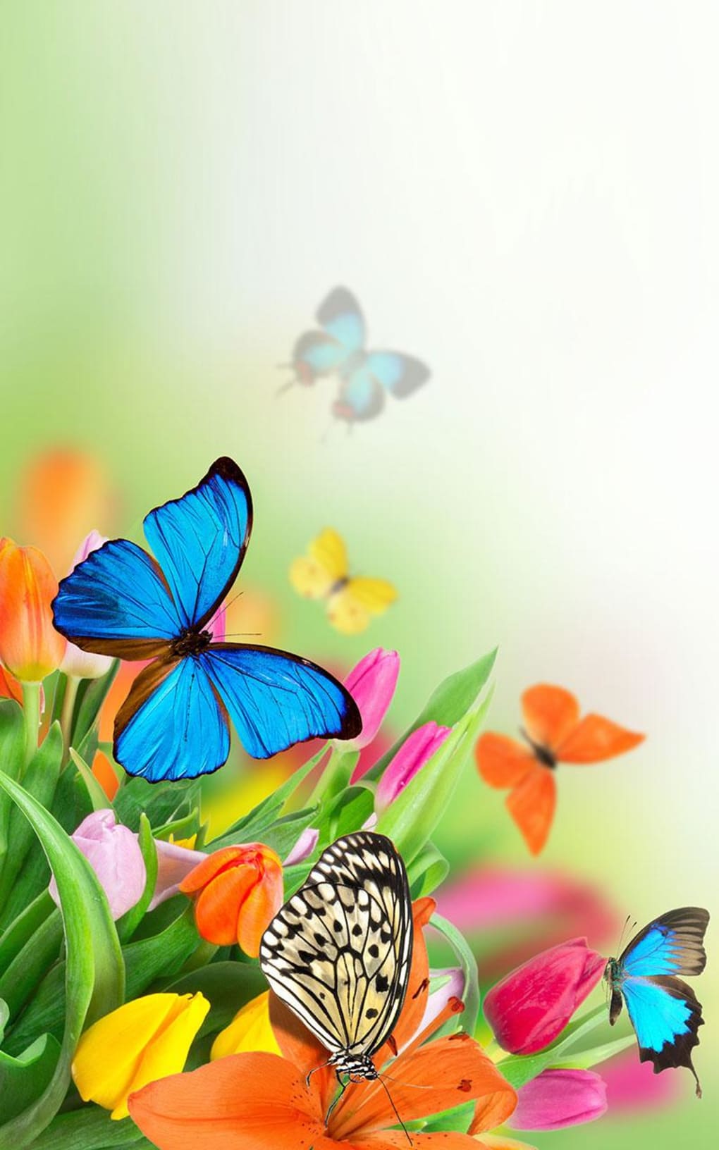 Butterfly, butterfly, roblox, HD phone wallpaper