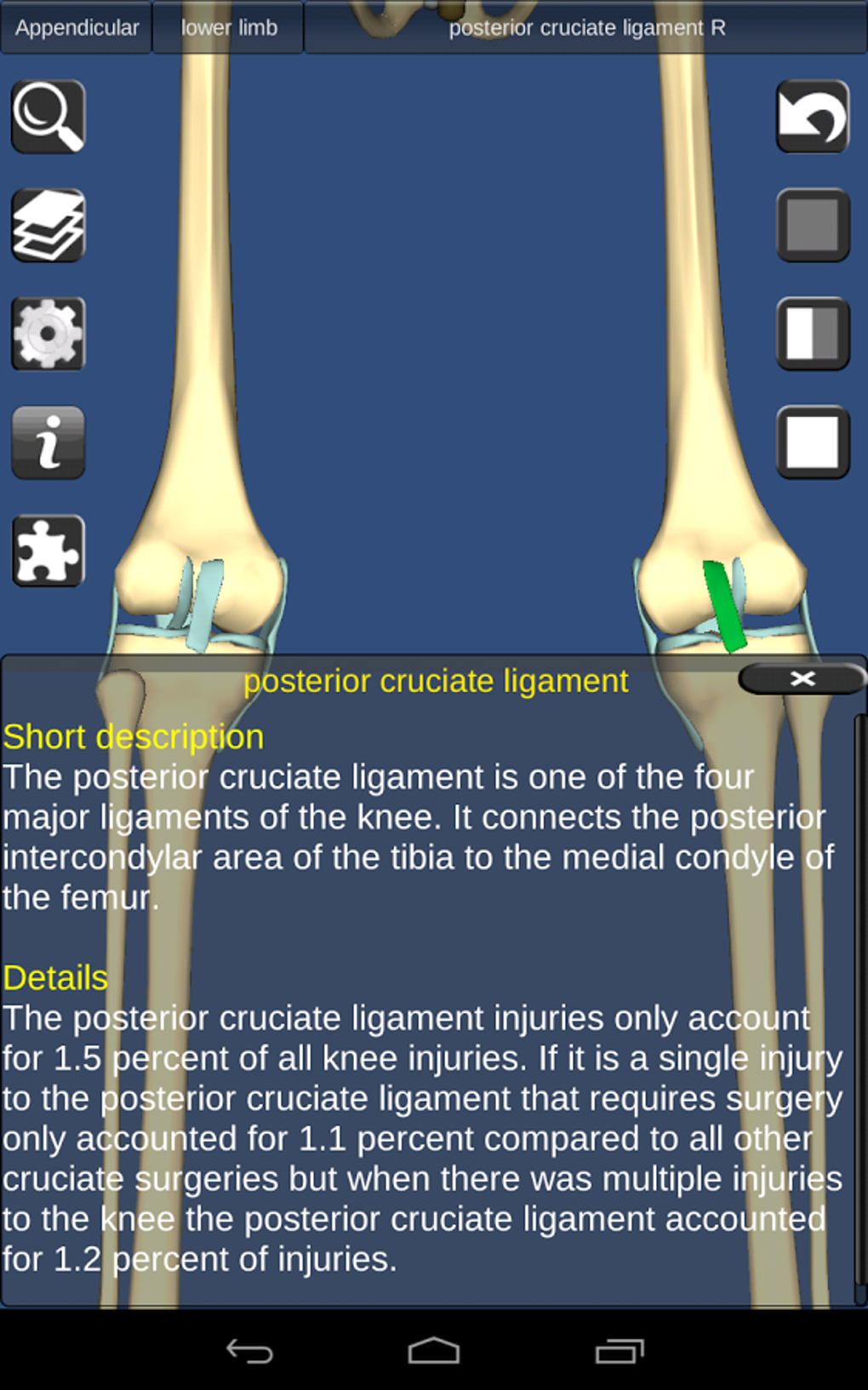 3D Bones and Organs Anatomy for Android - Download