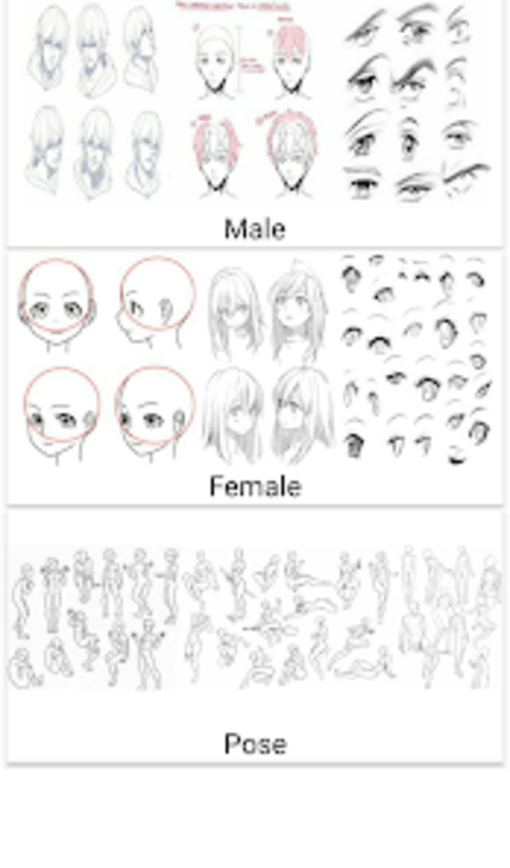 Discover more than 73 male anime face reference  induhocakina