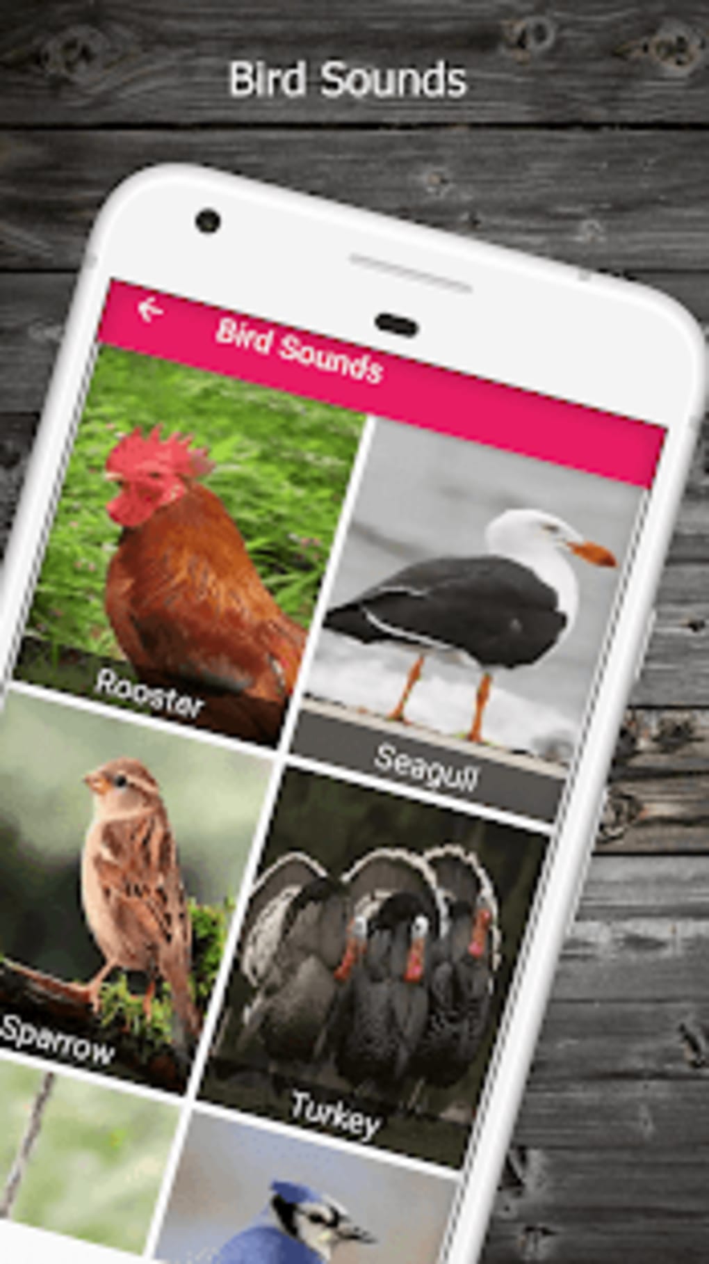 150 Animal Sounds APK for Android - Download
