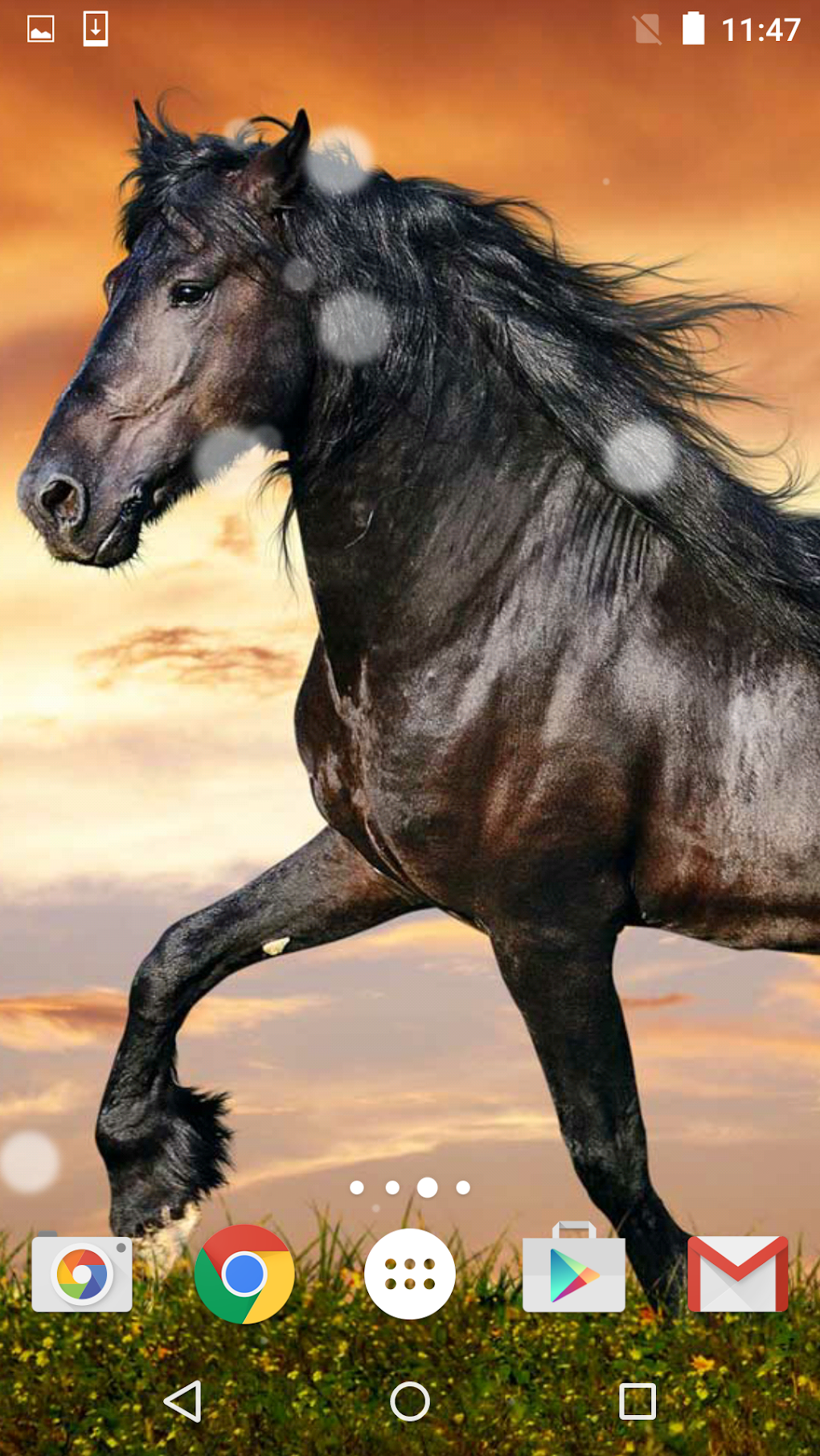 Horses Live Wallpaper HD APK для Android — Скачать