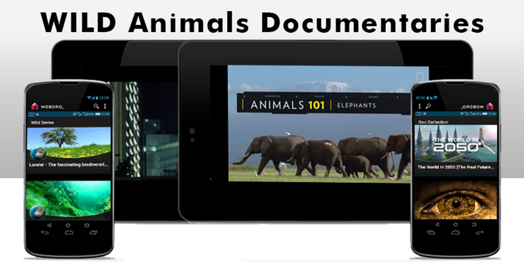 NATIONAL GEOGRAPHIC DOCUMENTARIES 2020 intelligence overview