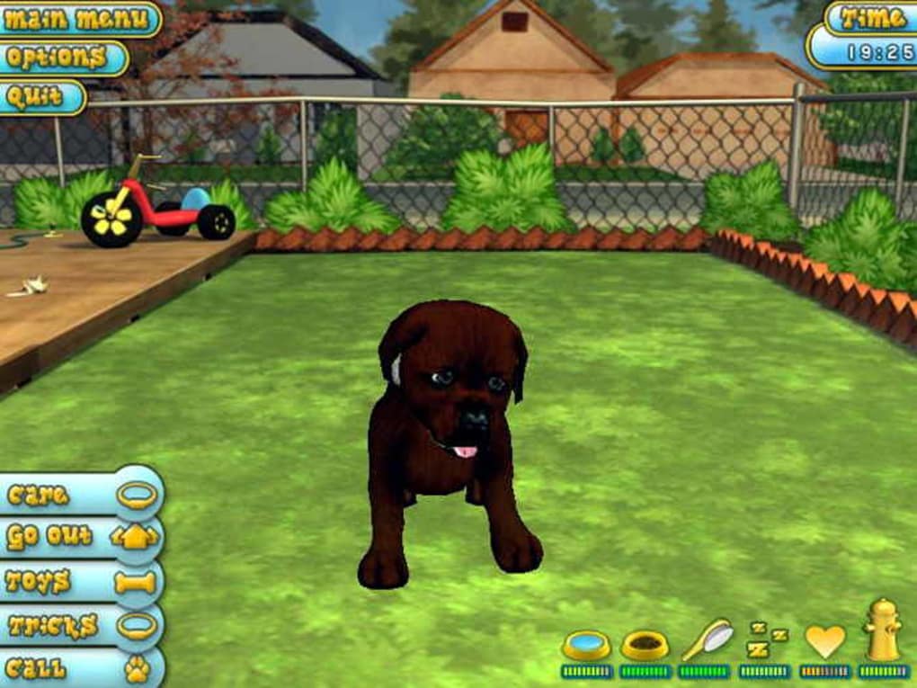 10 Mejores Juegos para Perros – Videos y Guía Completa paso a paso