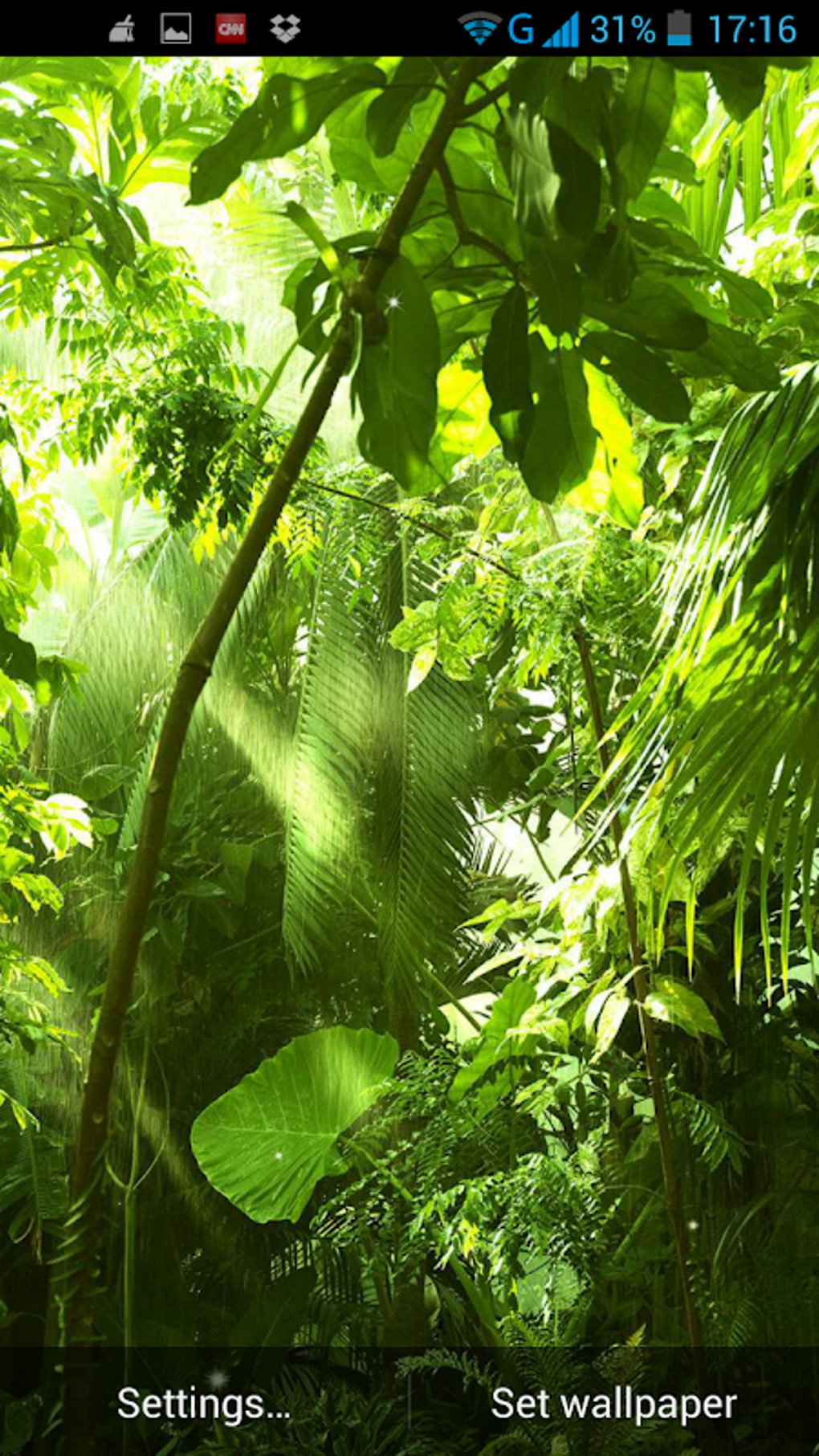 Jungle Live Wallpaper APK for Android - Download
