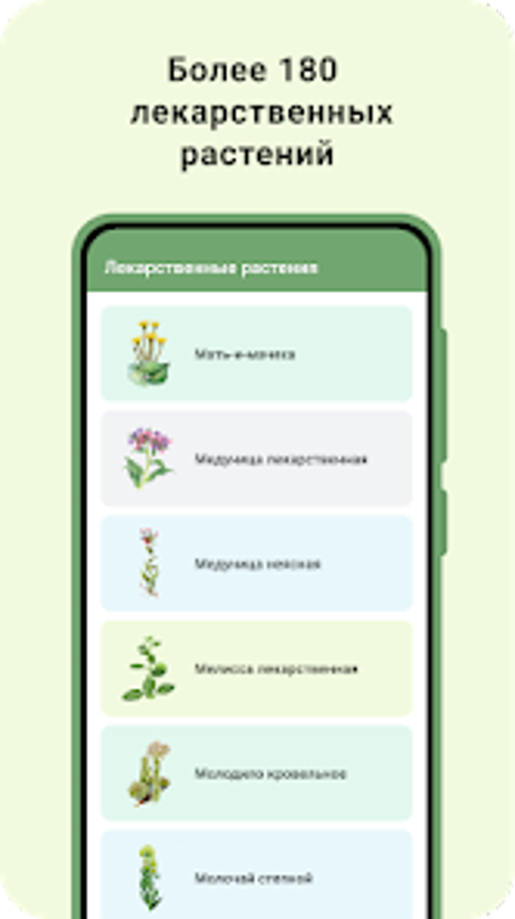 Травница - рецепты из лекарств для Android — Скачать