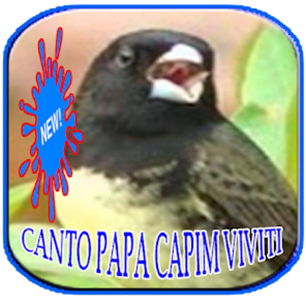 Canto Papa Capim Viviti: álbuns, músicas, playlists