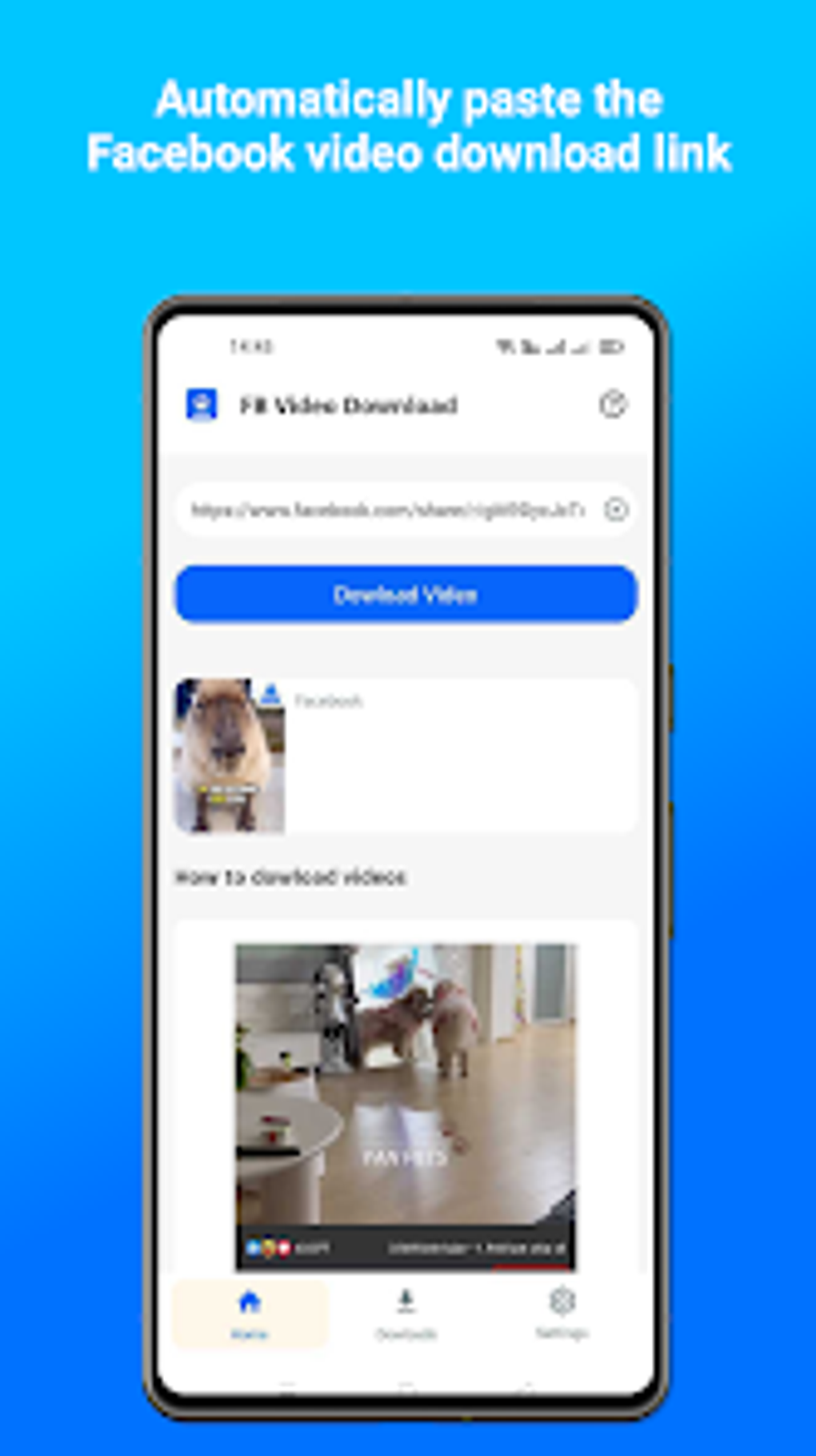 Fb Video