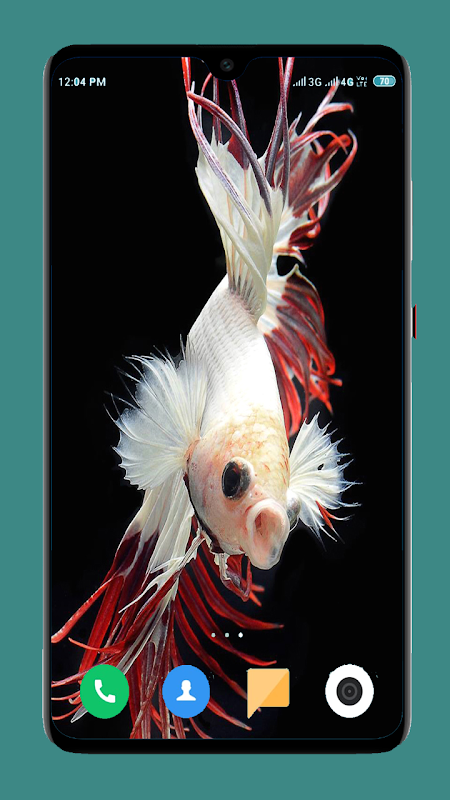 It's a Colorful Life ~ | Betta fish, Fish wallpaper, Betta