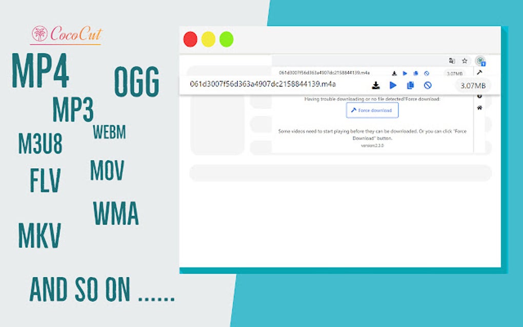video downloader-cococut