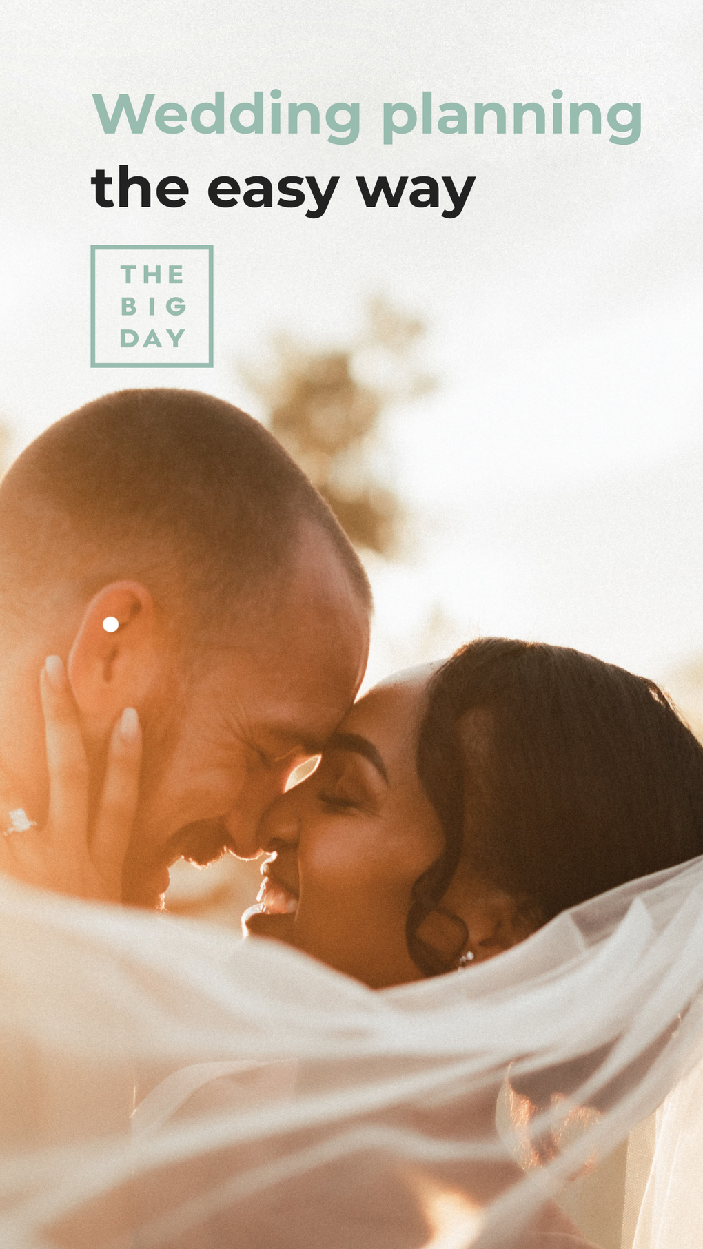 The Big Day Wedding Planner For IPhone Download