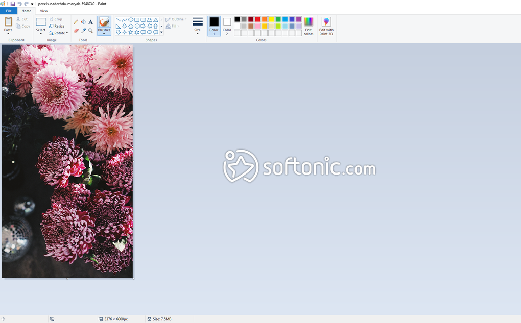 picture editor like paint for mac