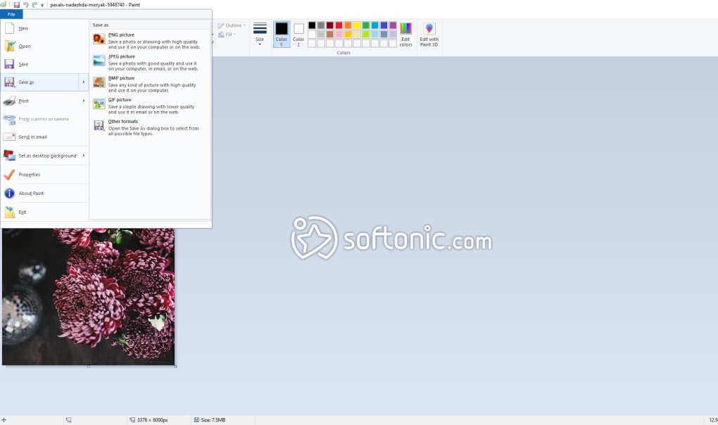 paint photo editor free download