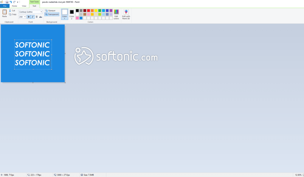 ms paint for mac application