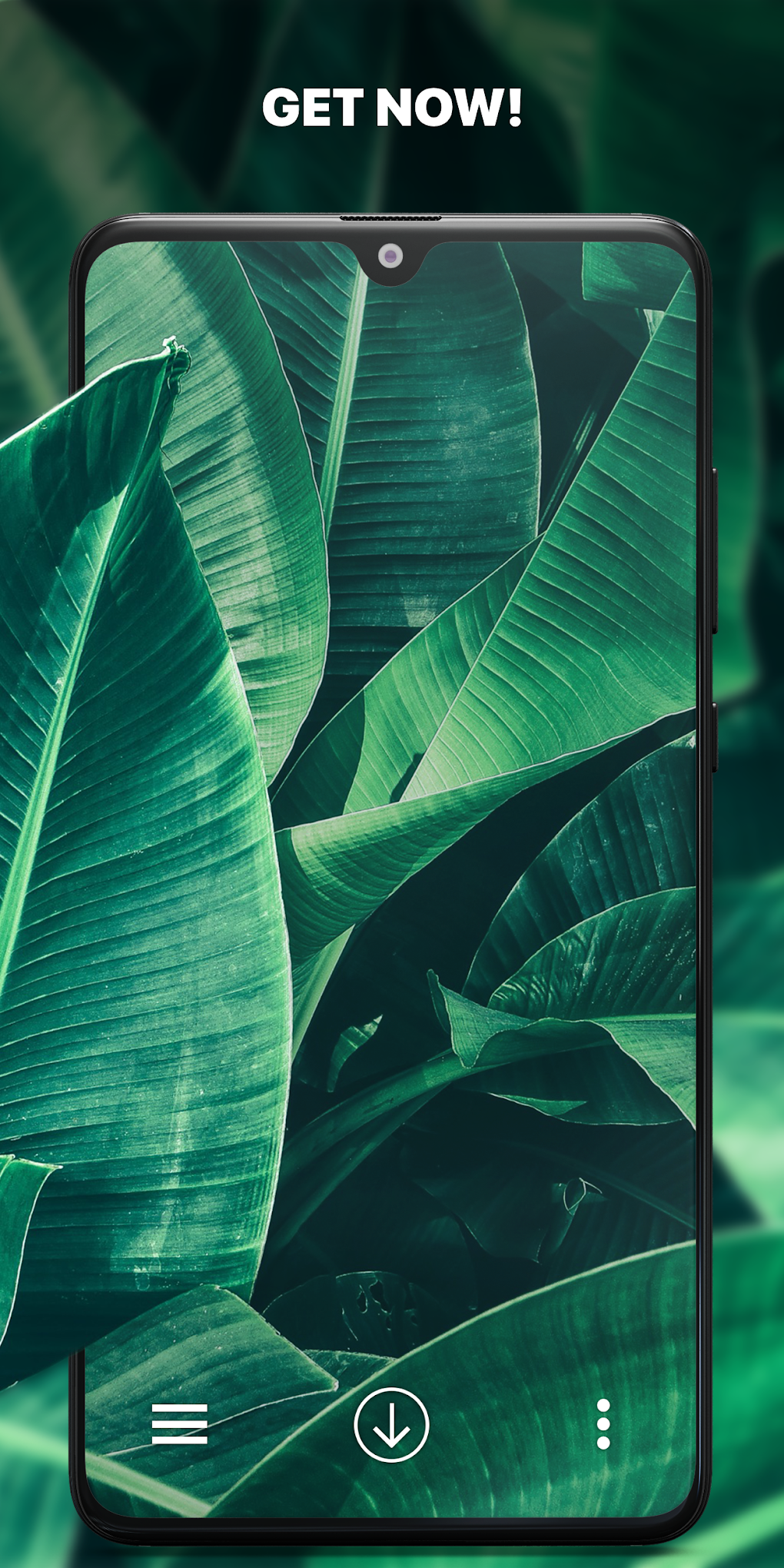 Everpix - Cool Wallpapers Backgrounds Ultra HD para Android - Descargar