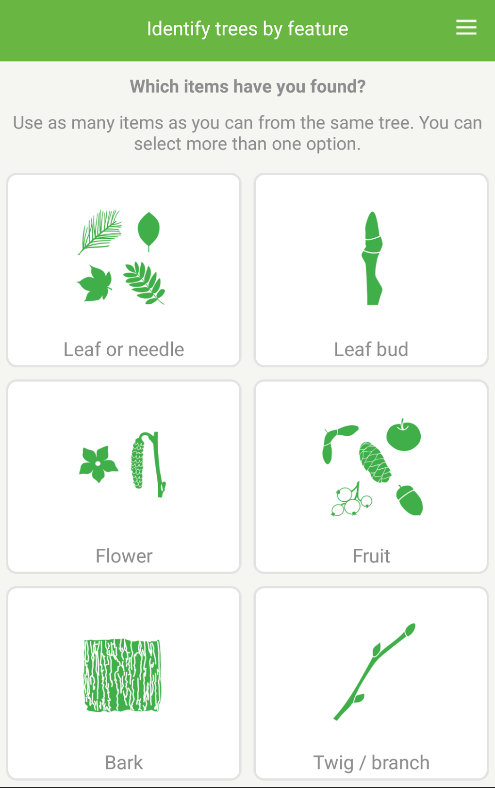 Tree ID British trees APK for Android Download
