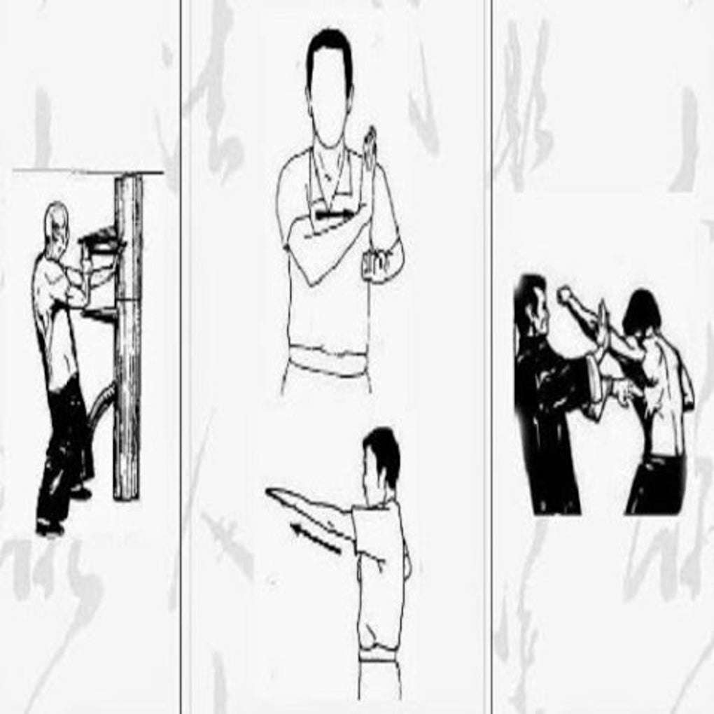 Wing Chun Technique APK For Android Download
