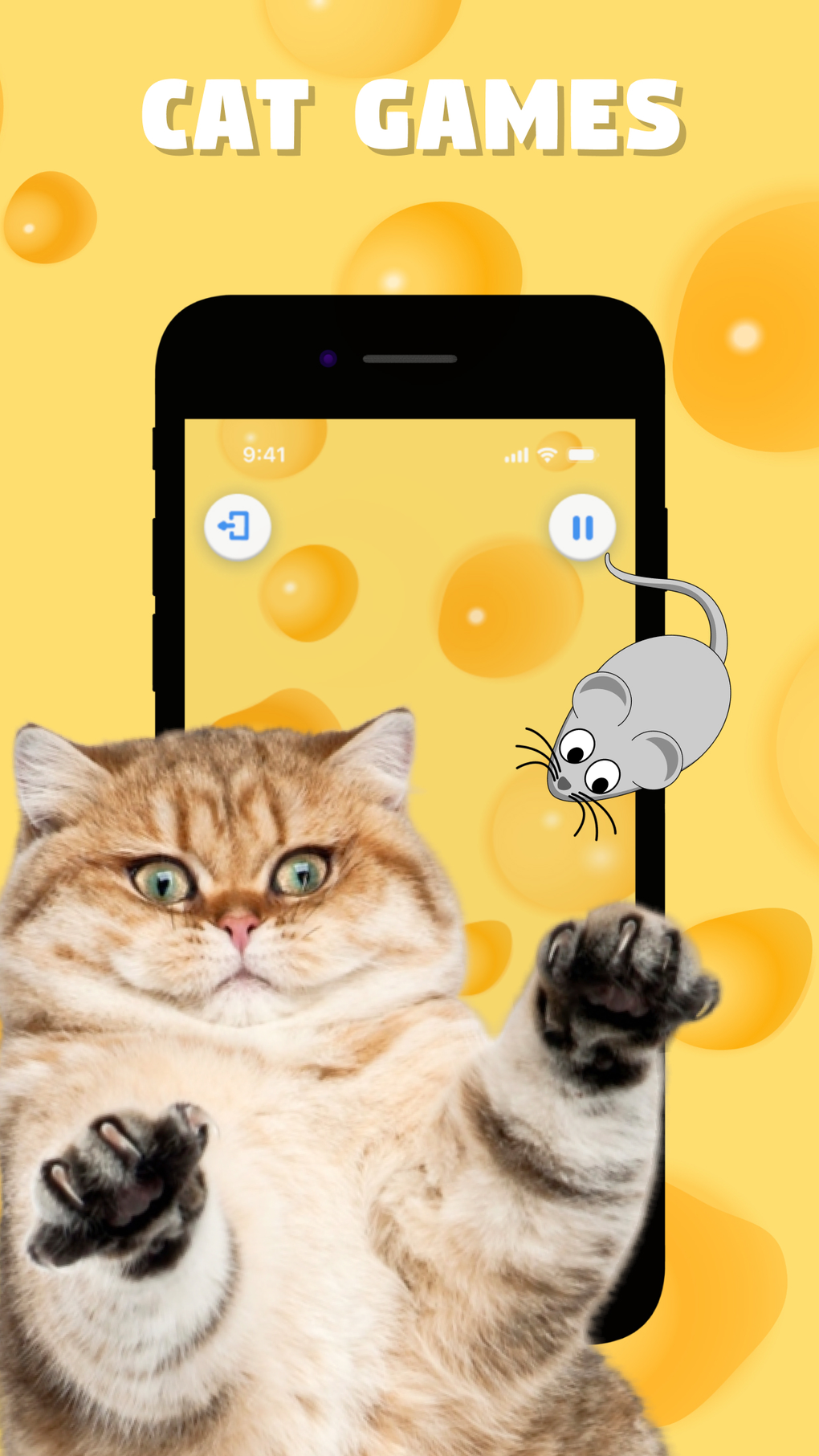 Games For Cats Catch A Toy For IPhone Download