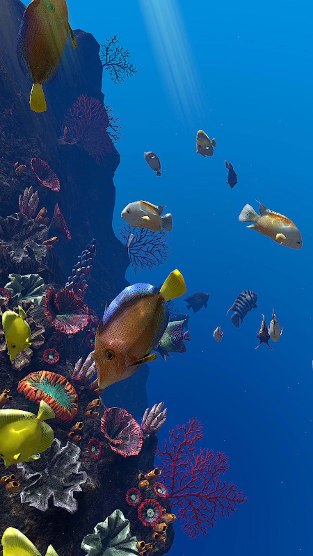Aquarium Fish GIF - Aquarium Fish - Discover & Share GIFs