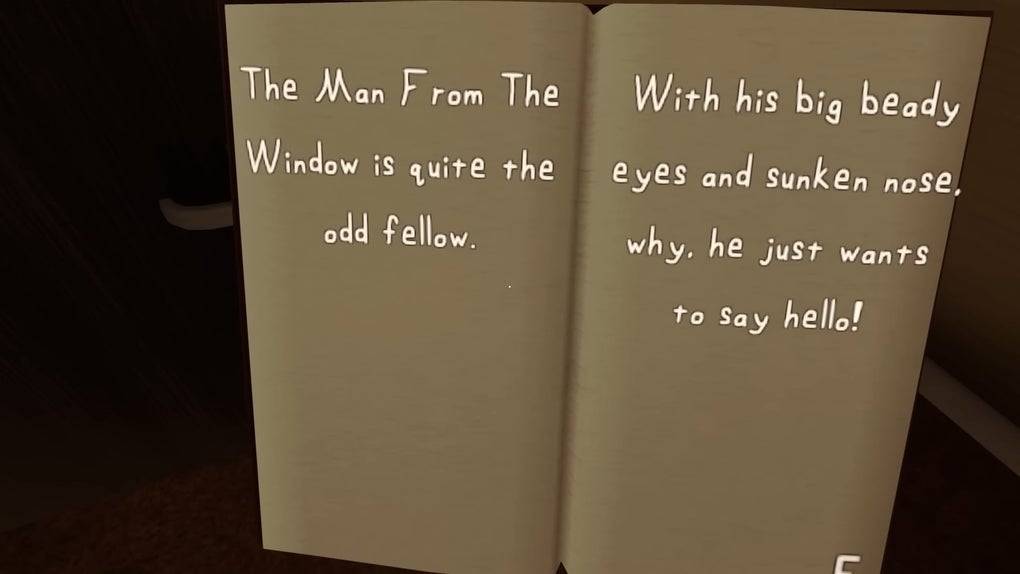 the man from the window book pages