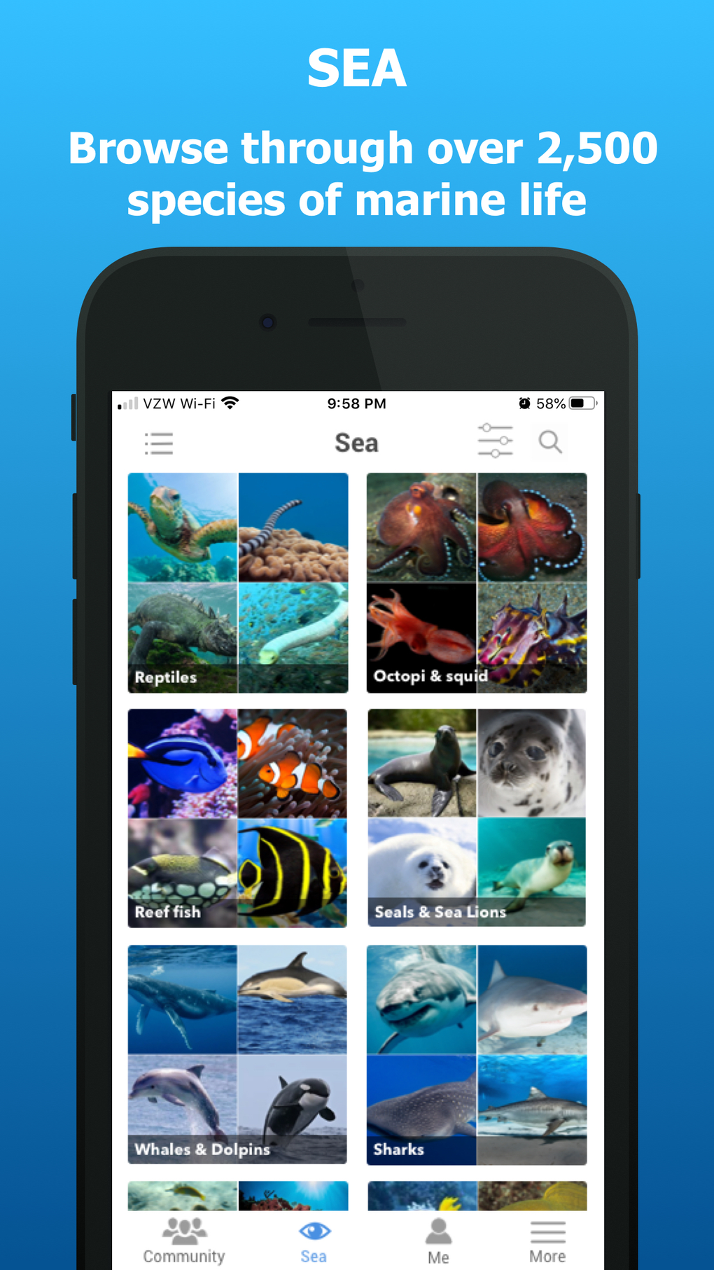 iSea Marine ID for iPhone - Download