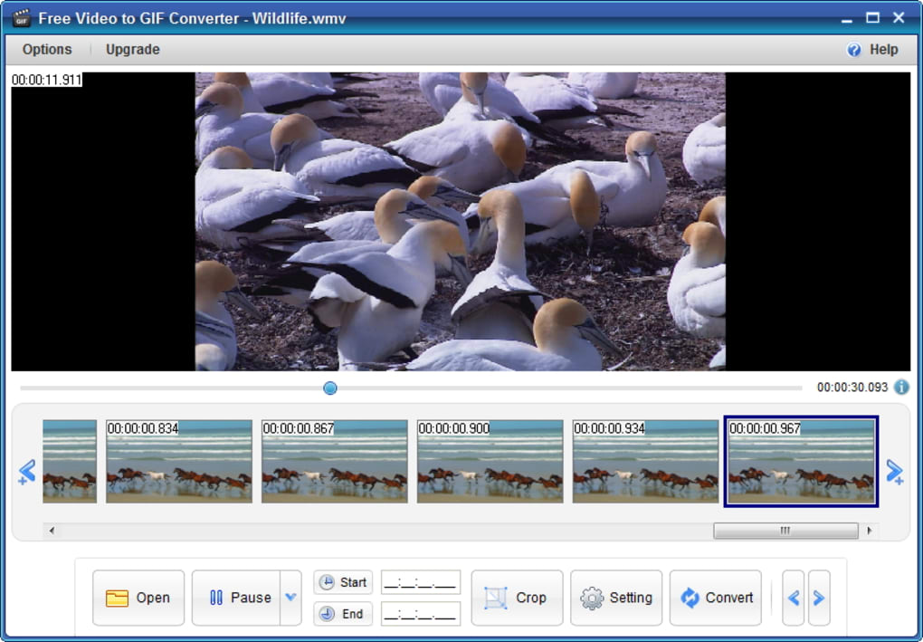 Freemore Video to GIF Converter 10.8 - Download for PC Free