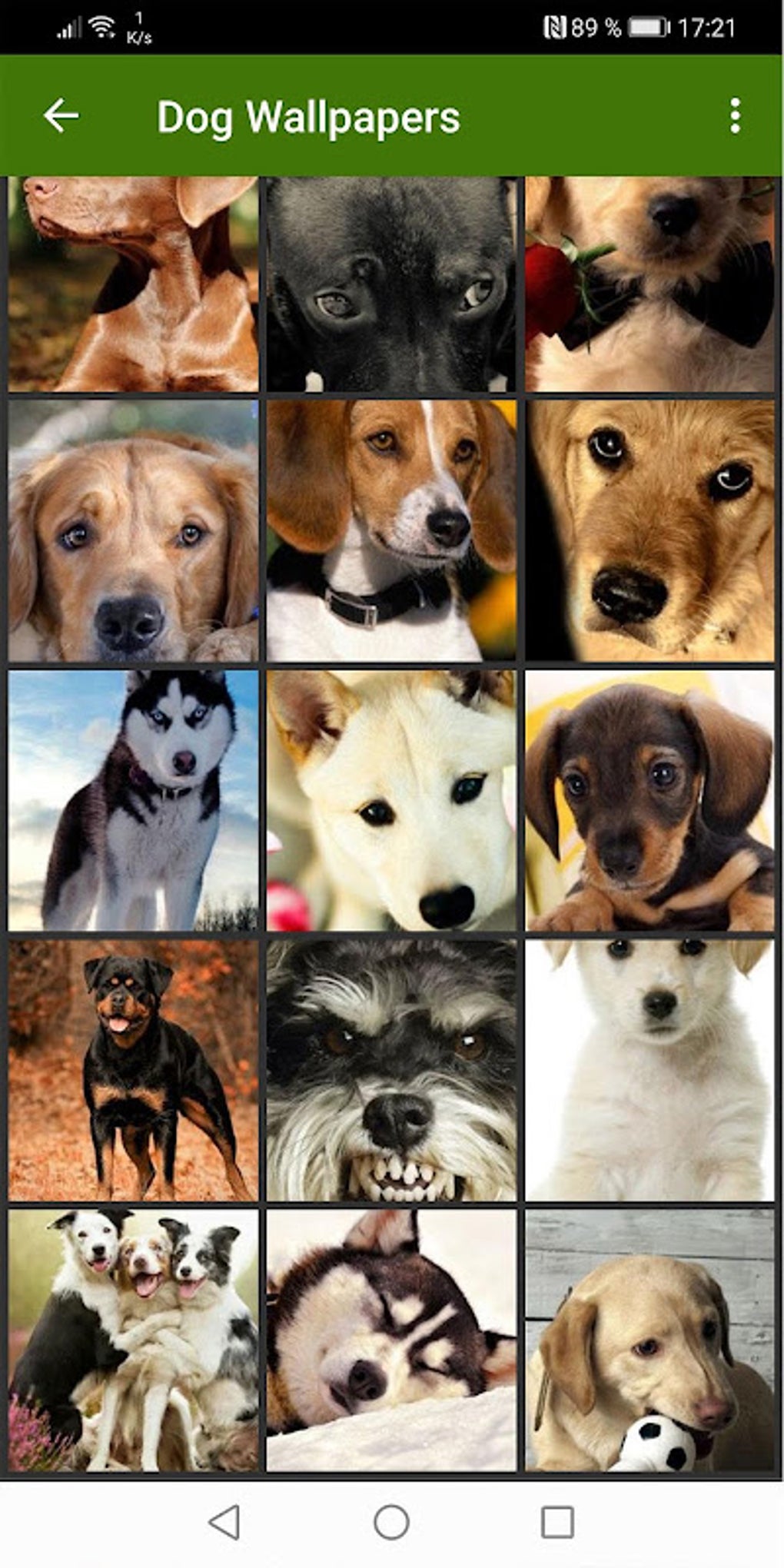 Dog Wallpapers APK for Android - Download