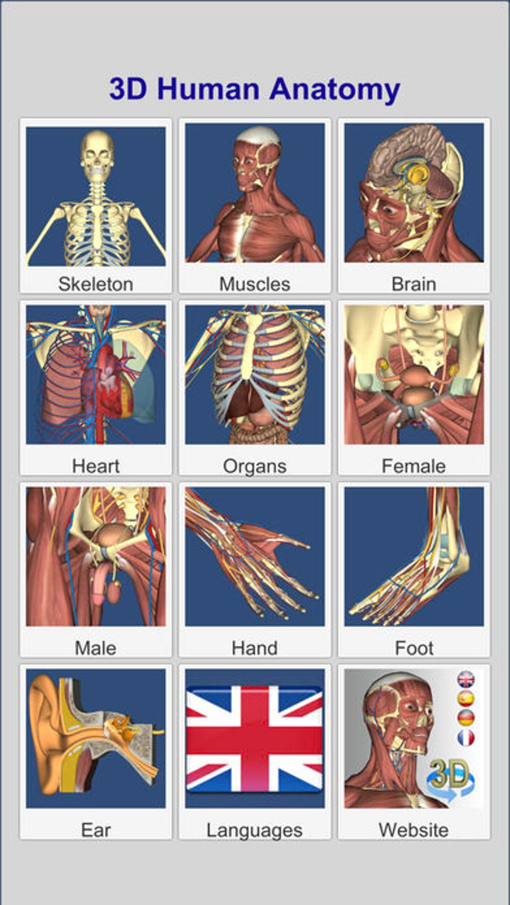 Взломанная anatomy learning. Анатомия человека органы. Приложение для изучения анатомии. Анатомия Лернинг. Анатомия человека на компьютере.