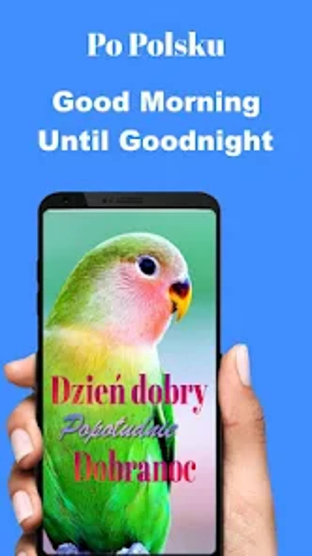 Polish Good Morning to Night для Android — Скачать