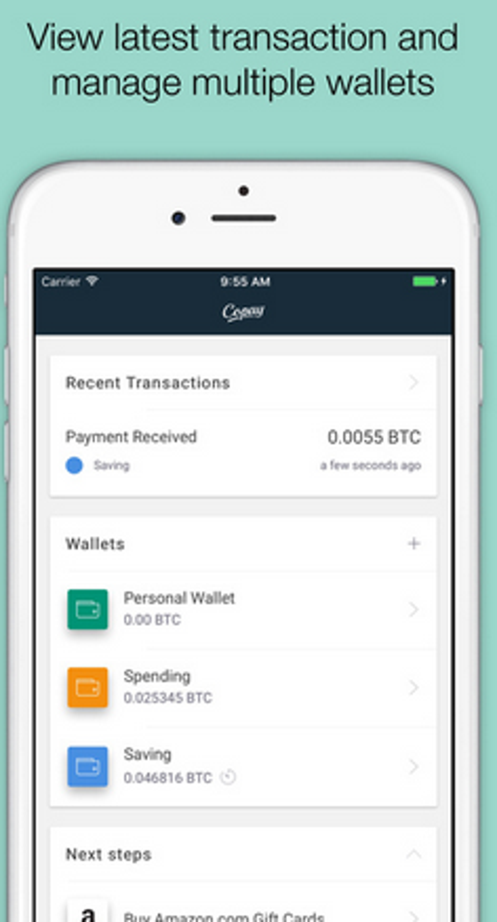 Copay For Iphone Download - 