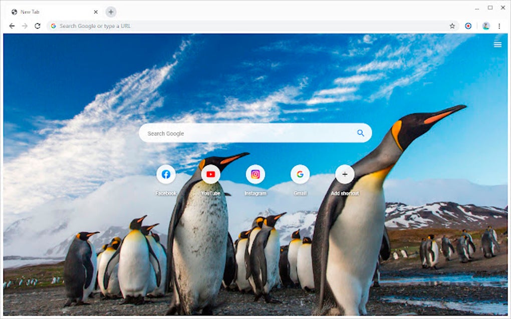 Animals Penguins Wallpapers New Tab For Chrome 無料 ダウンロード