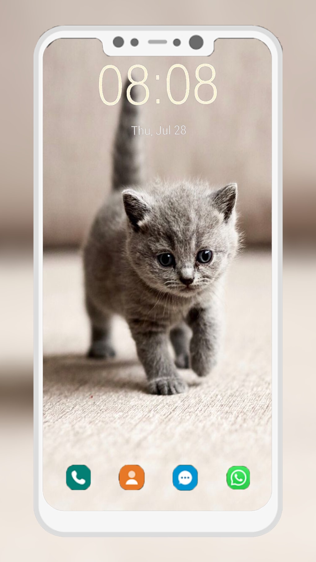Best Cat iPhone HD Wallpapers - iLikeWallpaper