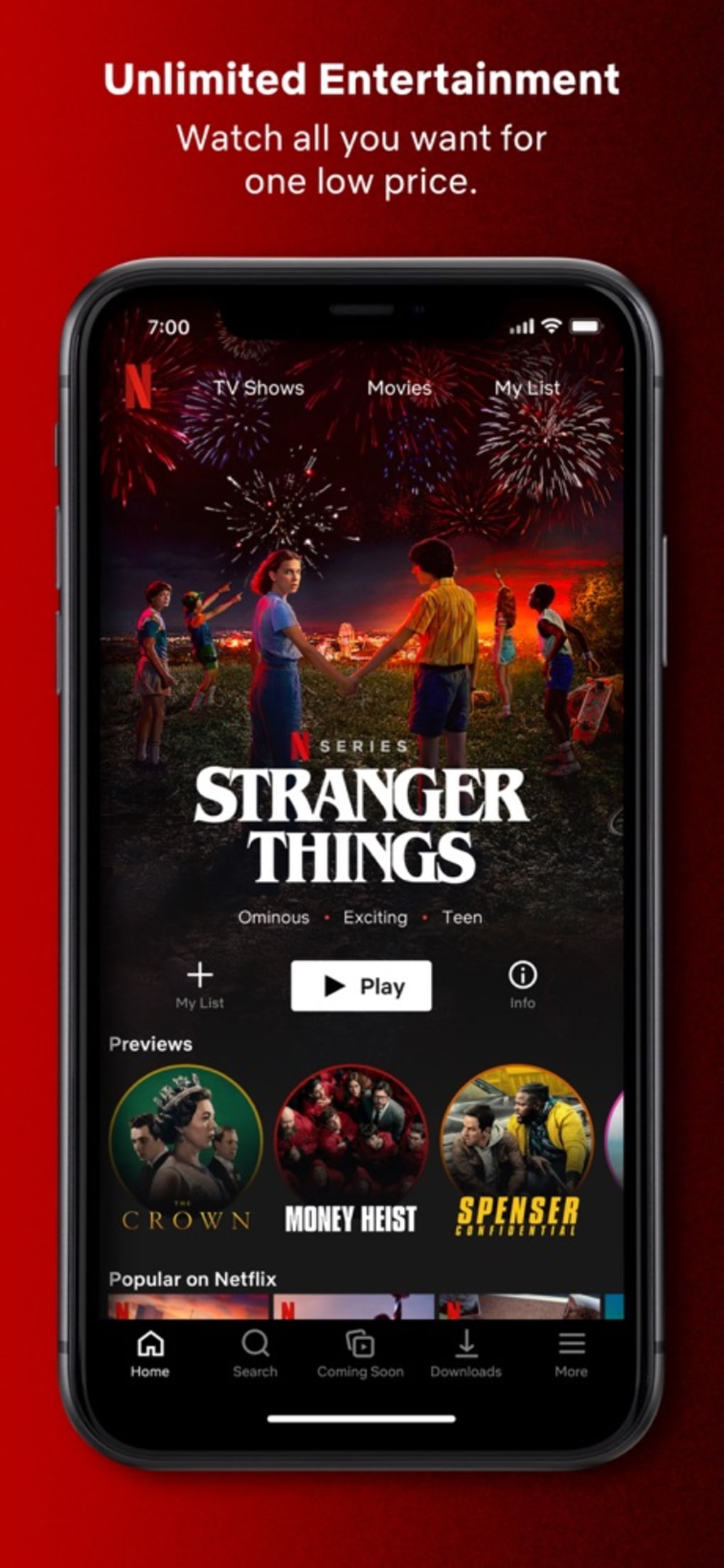 How to Download Netflix on iPhone 7 & 7 Plus iOS 15.8 