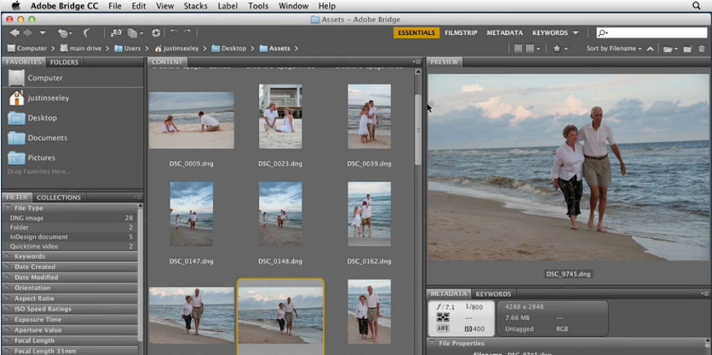 adobe bridge reviews