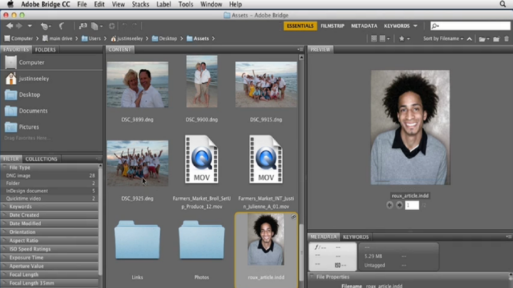 is adobe photoshop bridge free