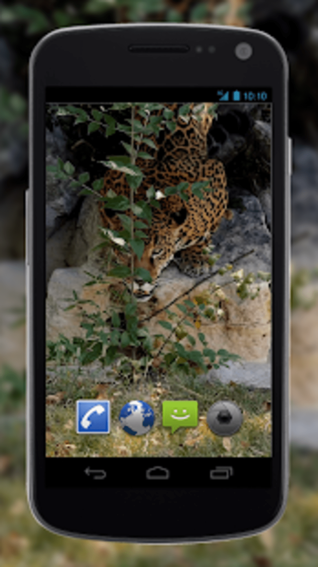 4K Jaguar Live Wallpaper APK لنظام Android - تنزيل