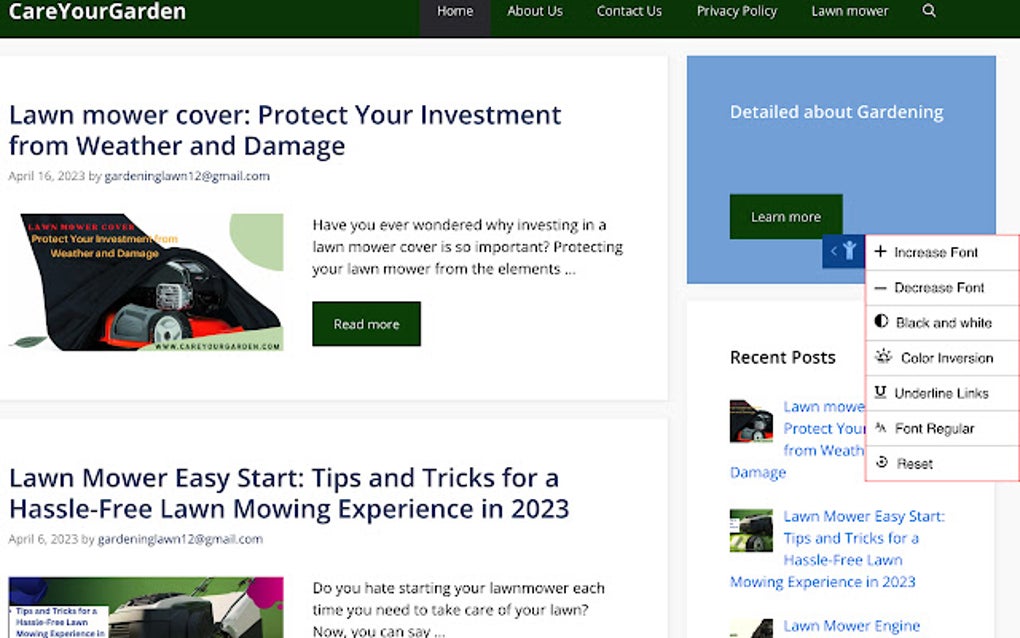Enhanced Accessibility for Google Chrome Extension Download