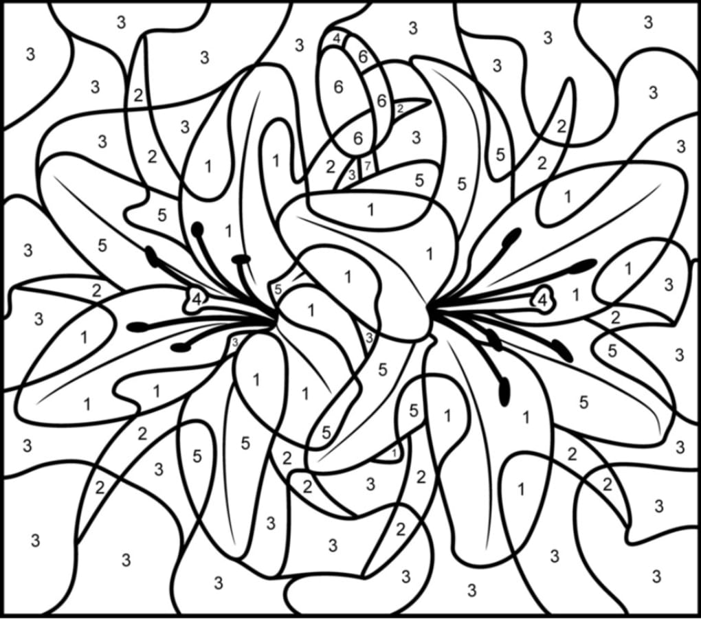 coloring pages of flowers color by number